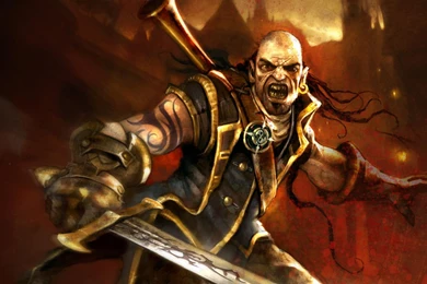 Download Wallpapers Fable 2 Video Game (1920 X 1080 HDTV 1080p ...