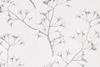 Jocelyn Warner — Wallpapers   Blossom   Samite