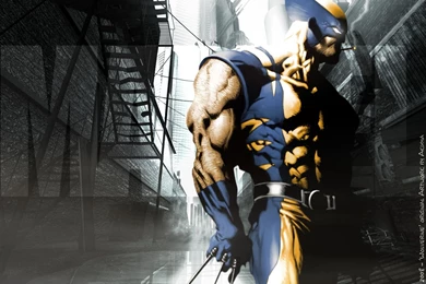 Wolverine Comic Wallpapers   Wallpapers Cave