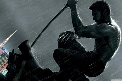 The Wolverine (2013) HD Desktop Wallpapers : Widescreen : High ...