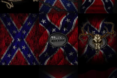 Southern Pride (Rebel Flag) Wallpaper!   For iPad