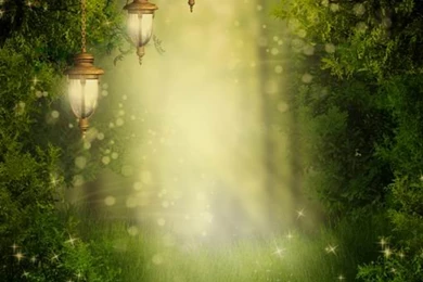 Aliexpress.com : Buy New 3(W)x3.5(H)m Lovers Outdoors Wedding ...