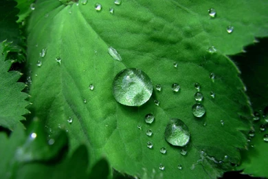 Live Wallpapers For Windows 8 – 1280×800 High Definition Wallpapers ...