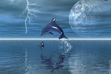 Santabanta Com Wallpapers Nature   HD Wallpapers And Pictures