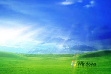 Wallpapers Windows