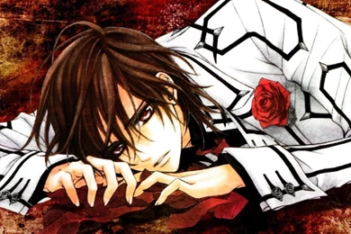 Kaname Kuran   Kuran Kaname Wallpapers (16722364)   Fanpop