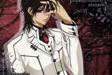 Vampire Knight Kaname
