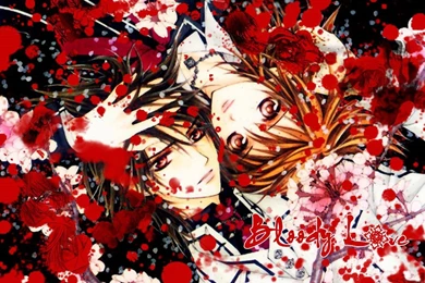 Pic New Posts: Wallpapers Kuran Kaname