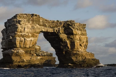 New Beautiful Savannah Images View