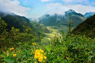 Pululahua Ecuador Landscape Mountains Flower Wallpapers