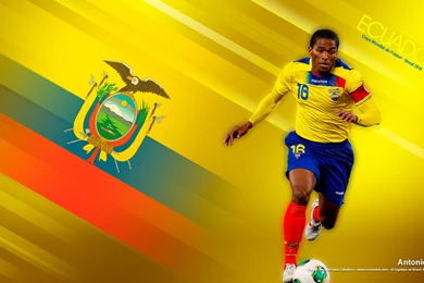 Wallpaper ecuador brasil 2014