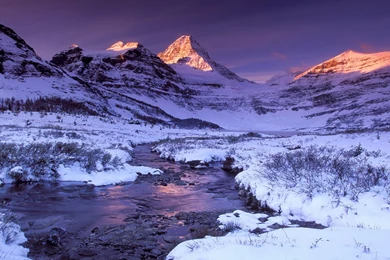 Cool Desktop Wallpapers 1680x1050 (679)   Hebus.org   High ...