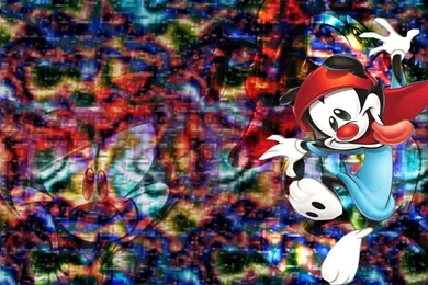 Wakko's Layout   Animaniacs Wallpapers (66779)   Fanpop