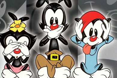 Animaniacs Cartoon Photos And Wallpapers