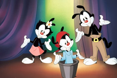 ANIMANIACS Family Animation Comedy Cartoon Wallpapers