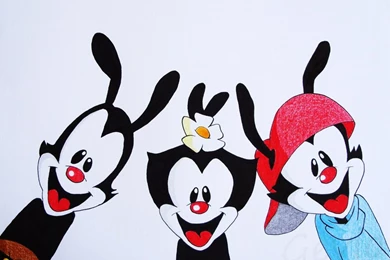 Animaniacs 13 Wallpapers Collection