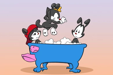 Animaniacs Moar 1024×768 Wallpapers 947346