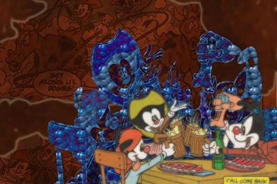 Animaniac Cowboys And Cowgirls   Animaniacs Wallpapers (684563 ...