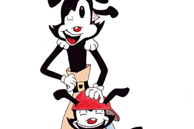 Wakko Warner Wallpapers   Google Search