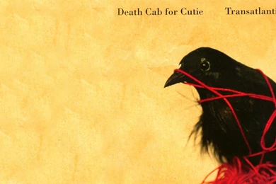 9 Death Cab For Cutie HD Wallpapers