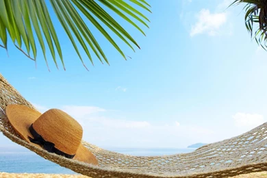 Perfect Day To Relax In A Hammock Wallpaper,beach HD Wallpapers ...