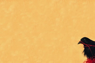 Death Cab For Cutie Reissues Transatlanticism For 10th Anniversary ...