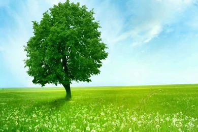 Samsung Galaxy Wallpapers Hd