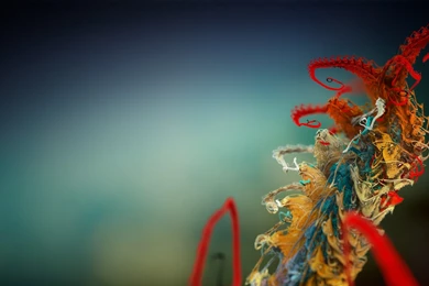 Widescreen Wallpapers Free Download