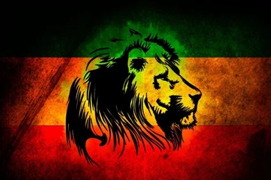 Lion Jamaica Flag Fly This Flag High