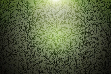 Download Wallpapers 3840x2400 Grass, Patterns, Backgrounds ...