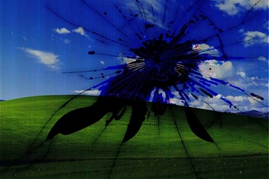 Broken,LCD Screens Broken Lcd Screens Bliss Windows Xp Broken ...