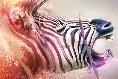 Wallpapers Set: The Transmission   ArtisNavi.com