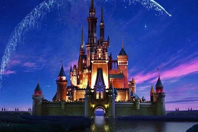 Disney Castle iPad Mini Resolution 768 X 1024