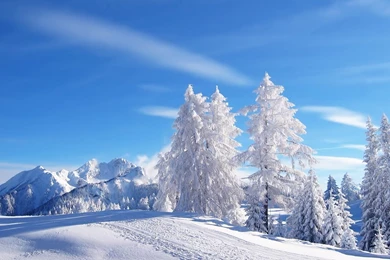 Download High Resolution Winter Images