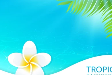 Free Vector Free Hawaiian Backgrounds Vector