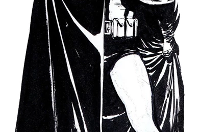 Batman Year One Movie Batman Year One