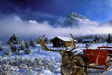 Winter Christmas Wallpapers 2   Crazy Frankenstein