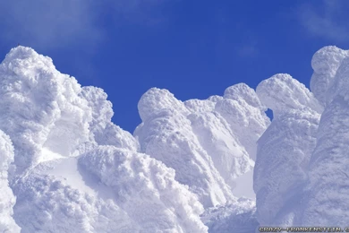 Winter Snow Wallpapers   Crazy Frankenstein