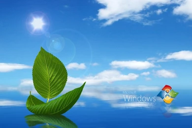 New Windows 8 Wallpapers