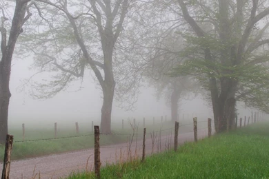 Dark Hair Stars Interfaces Rear View Sports Jerseys Gameboy Color ...