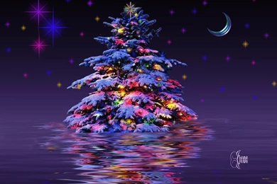 Christmas Tree Wallpapers