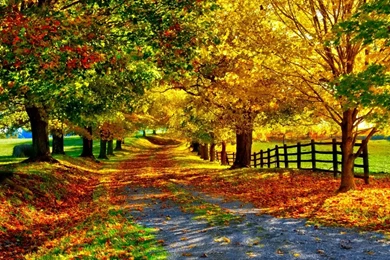 Fall Wallpapers High Resolution 13617   HD Wallpapers Site