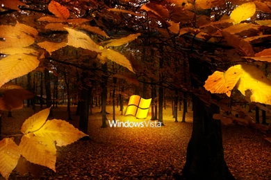 Fall Wallpapers 4b3   HD Wallpapers