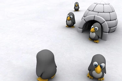 Cool Penguin Backgrounds Desktop Wallpapervvvvv