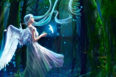 Magical Forest Wallpapers   (