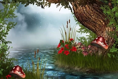 Enchanted Forest Wallpapers