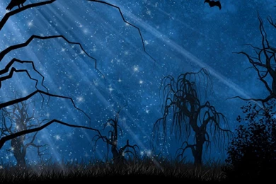 Dark Magical Forest Wallpapers   (