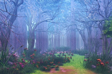 Magical Forest – Evolving Bliss