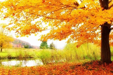 Magical Desktop Wallpapers