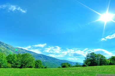 Summer Nature Wallpapers   Crazy Frankenstein